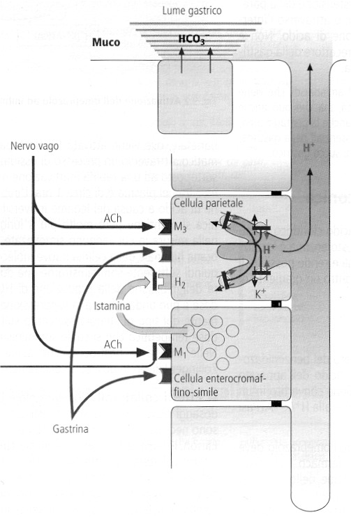 OMEPRAZOLO