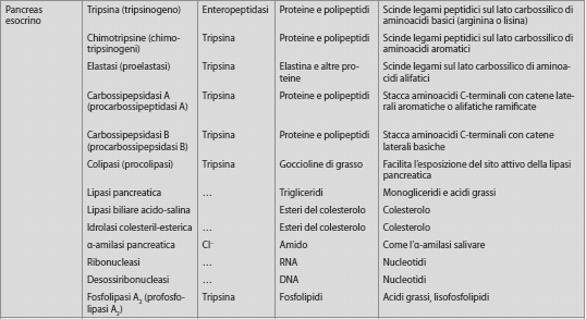 Digestione delle