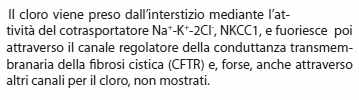 Metabolismo (insieme delle reazioni chimiche) Estrazione energia dai nutrienti Utilizzazione energia per