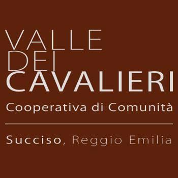 L esperienza di Succiso Una cooperativa, voluta dagli abitanti di un piccolo paese per mantenerlo vivo, è una comunità L'idea che ci ha portato alla costituzione della Cooperativa di Comunità "Valle