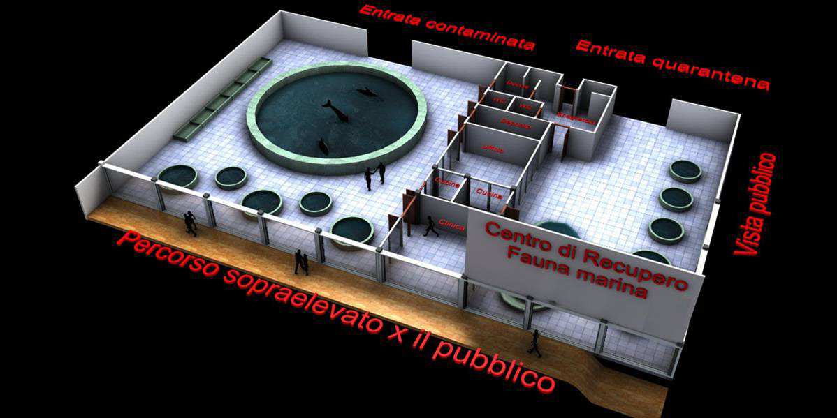 PROGETTI FUTURI Centro di Riproduzione per testuggine palustre Emys