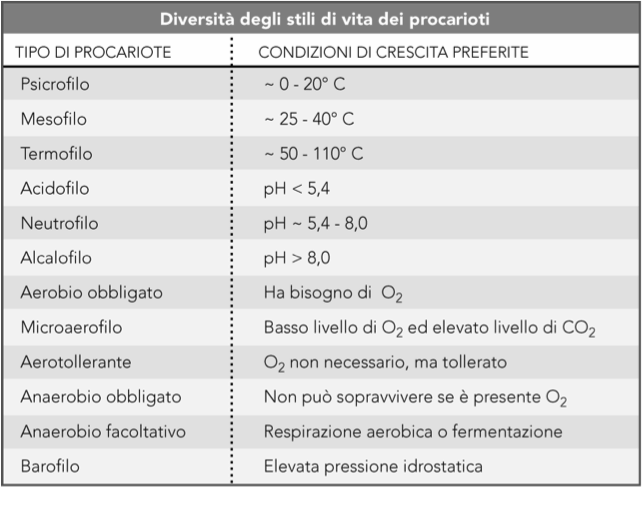 LE CELLULE BATTERICHE POSSONO ASSOCIARSI A FORMARE