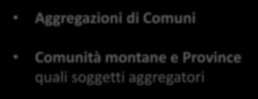 TIPOLOGIA DI INTERVENTO Riqualificazione degli impianti di illuminazione pubblica Nuova realizzazione di impianti di