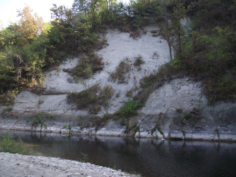 Figura 3 - Scarpata rocciosa in sponda destra 200 m a valle della restituzione. Dal punto di vista geologico si tratta di formazioni di arenaria e depositi marnosi, attribuibili alla formazione di S.