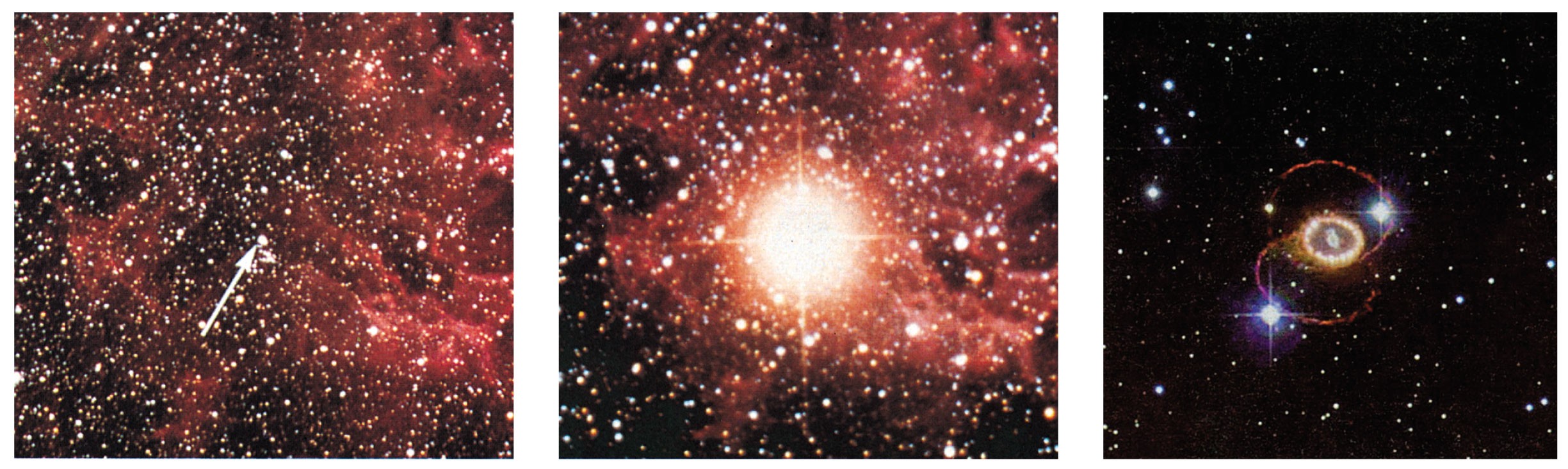 L evoluzione dei corpi celesti L esplosione della supernova SN 1987A,