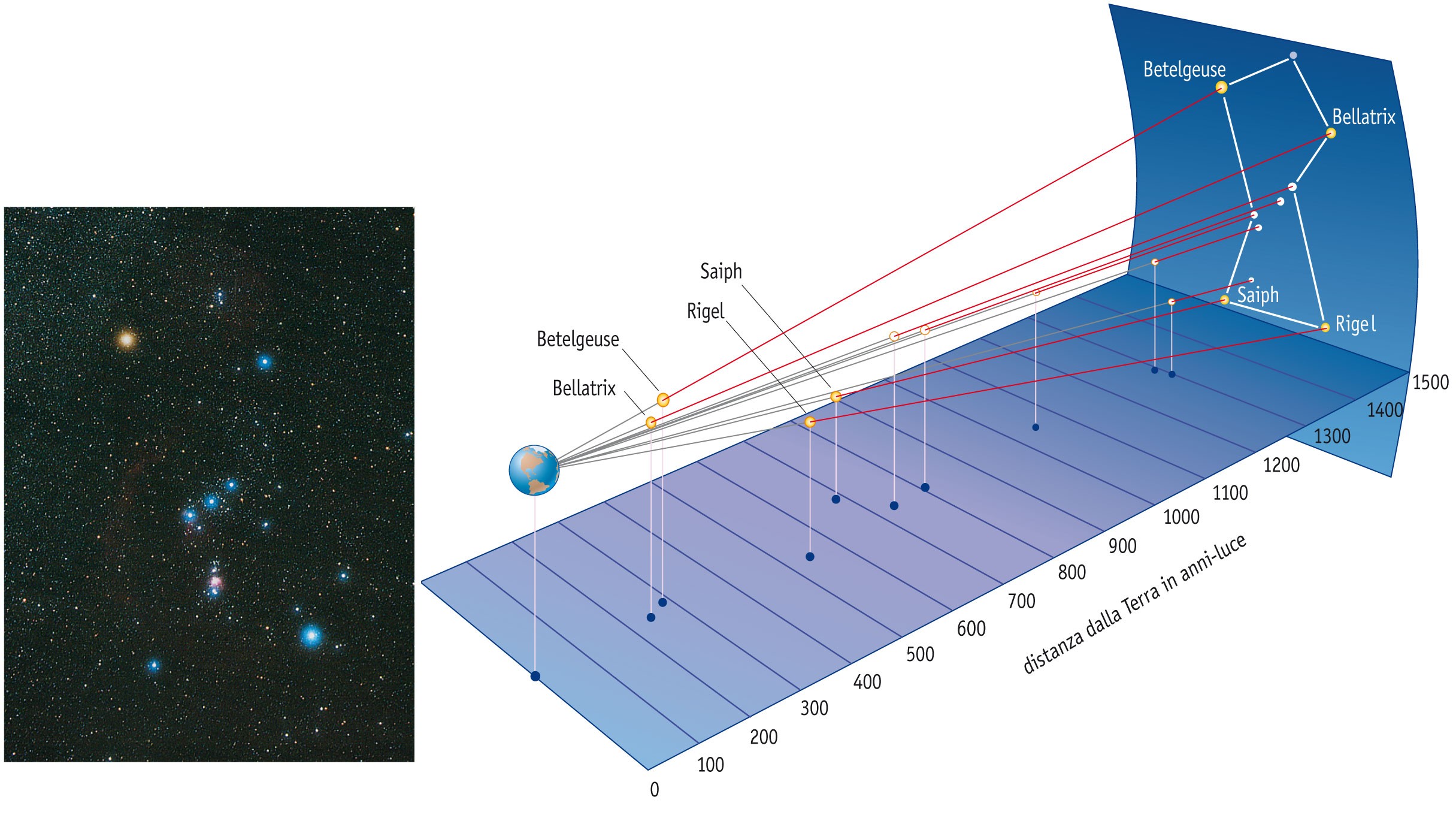 La posizione delle stelle Nel disegno vediamo come ci appare la Costellazione di Orione, proiettata