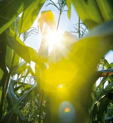 Perché ISOBUS? Benefici dell appartenenza all AEF Questo sviluppo è stato reso necessario dal fatto che spesso gli agricoltori usano trattori di una marca con macchine operatrici di un altra.