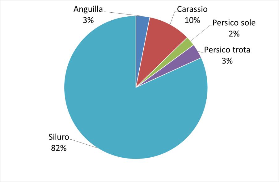 Reti % Numero Lago Sirio