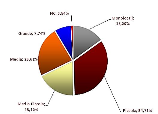 LE TIPOLOGIE ABITATIVE Elaborazione su dati Agenzia del Territorio Nota: monolocali: fino a 45 mq (2,5 vani catastali); piccola: tra i 45 e 60 mq (2,5-4 vani catastali); medio-piccola: tra 60 e 90 mq