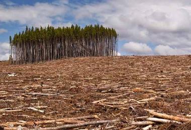 Costo dell inazione Entro il 2050: - 40% delle terre adibite a coltivazione sostenibile convertite a sfruttamento intensivo - 60% delle barriere