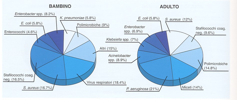 Eziologia della polmonite nosocomiale in pazienti adulti (dati EPIIC) e