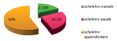 5.1 I domestici I domestici compongono il 97,4% dei resti. Nei paragrafi seguenti sono illustrate nel dettaglio le singole specie. 5.1.1 Il bue (Bos primigenius f. taurus) 5.1.1.1 Numero Resti, indice di frammentazione e regioni scheletriche (Diagr.