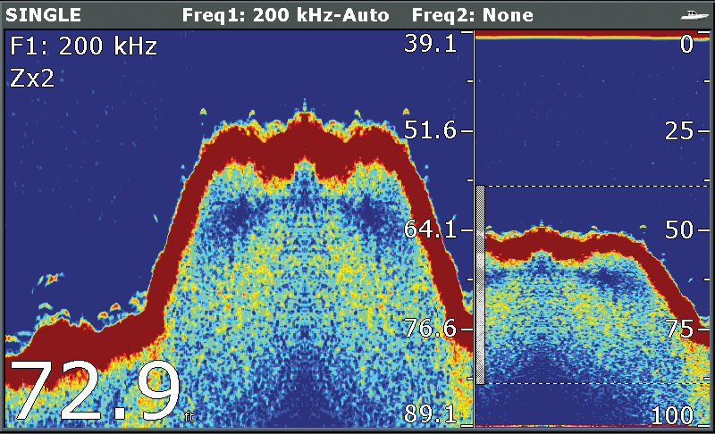 Per modificare il modo Display: 1. Premere il tasto soft ADJUST... 2. Per le schermate a doppia frequenza selezionare FREQ1 o FREQ2 per selezionare quale schermata di frequenza si desidera modificare.