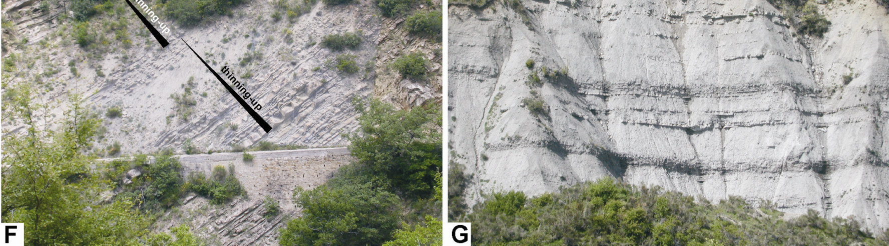Escursione del Corso di Geologia Stratigrafica e Sedimentologia Fig. 5.
