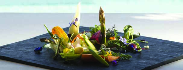 31 Bilancio della Sostenibilità 2015 Lefay Resort & SPA Lago di Garda: Lefay Vital Gourmet Persino il cibo può diventare cibo per l anima.