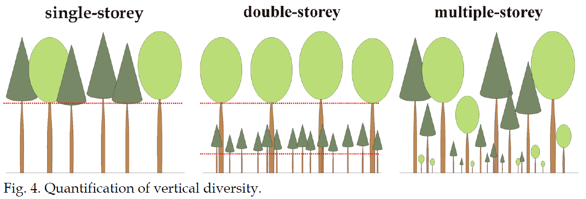 Utile a classificare la componente arborea in classi sociali e ne impartisce la fisionomia (ad alberi, a cespugli, a erbe, etc.) 2.