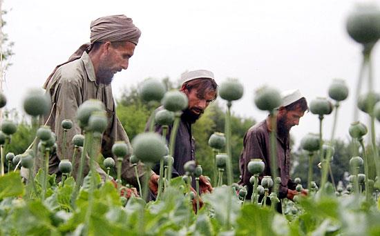 A causa dei danni recati dai decenni di continue guerre, le condizioni economiche dell Afghanistan sono tra le peggiori al mondo; il reddito pro capite dei suoi abitanti è una centesima parte di