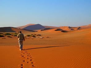 cosa vedremo: i deserti Kalahari: è una vasta distesa sabbiosa che si estende per circa 520.