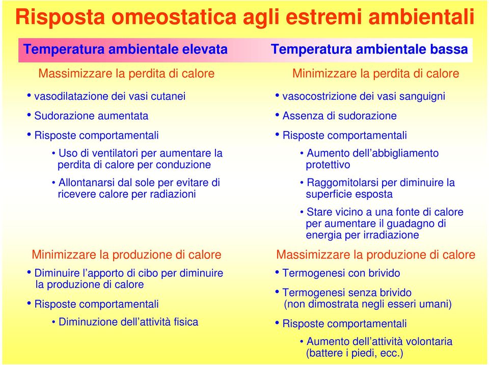 diminuire la produzione di calore Risposte comportamentali Diminuzione dell attività fisica Temperatura ambientale bassa Minimizzare la perdita di calore vasocostrizione dei vasi sanguigni Assenza di
