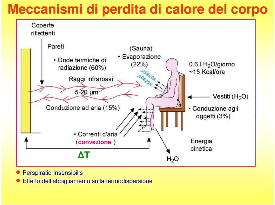 Perspiratio Insensibilis Effetto