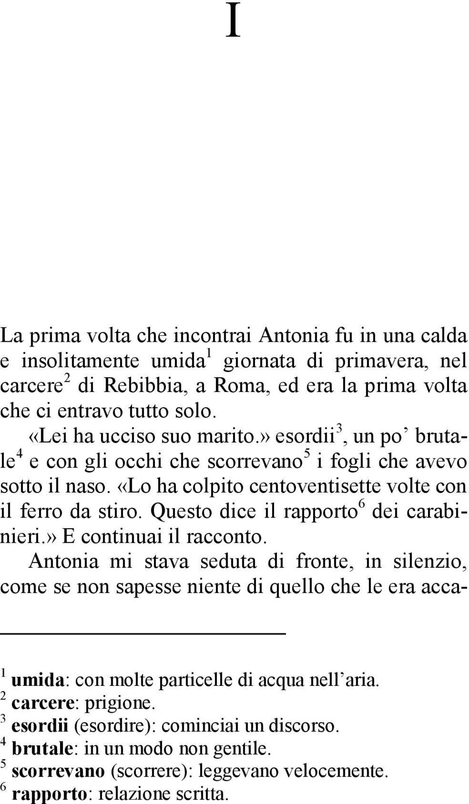 Questo dice il rapporto 6 dei carabinieri.» E continuai il racconto.