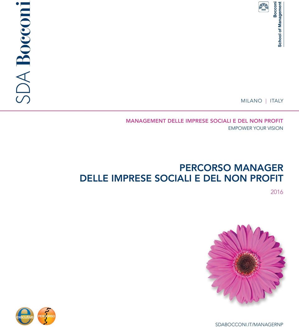 VISION PERCORSO MANAGER DELLE IMPRESE