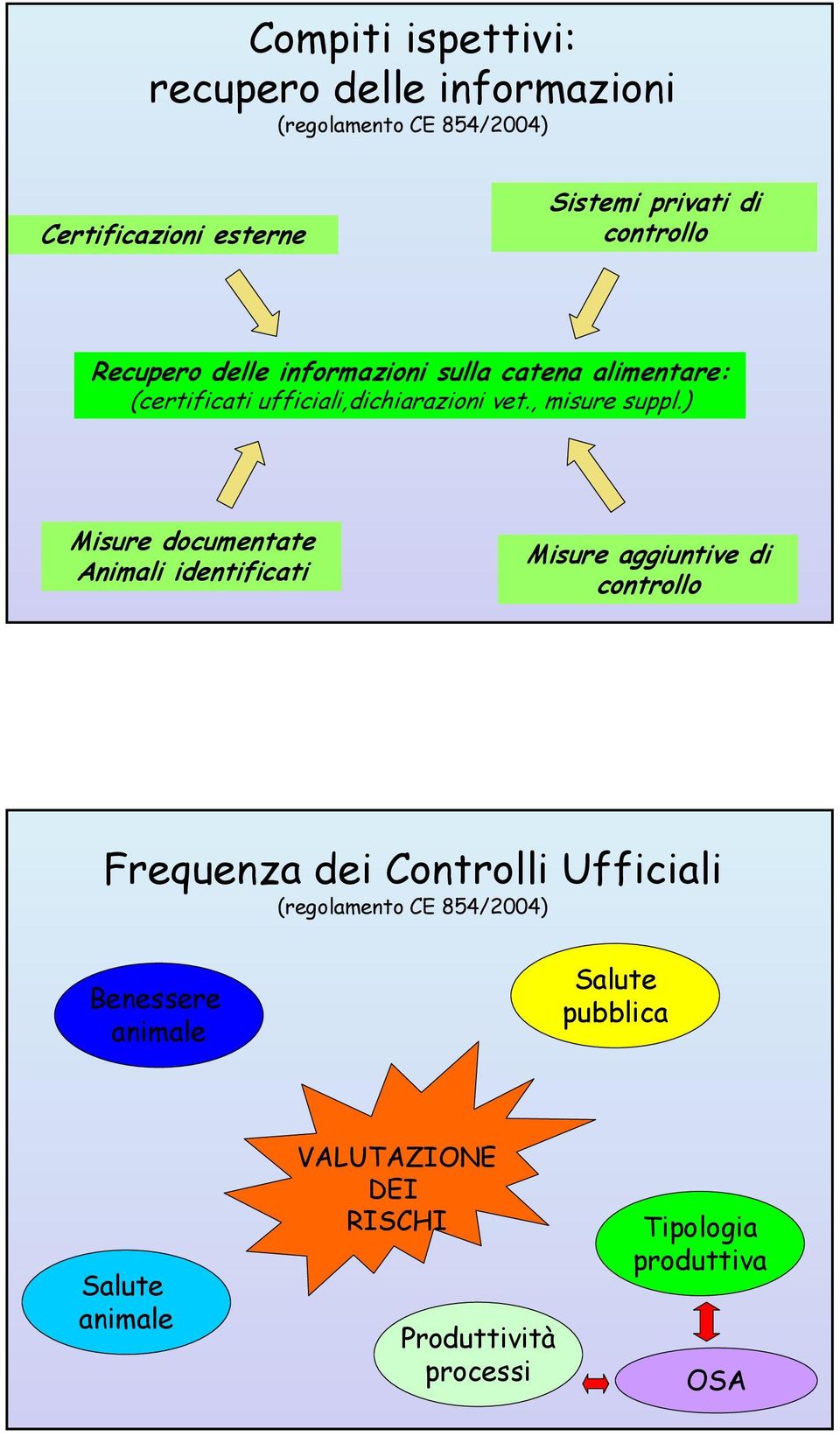 ) Misure documentate Animali identificati Misure aggiuntive di controllo Frequenza dei Controlli Ufficiali (regolamento