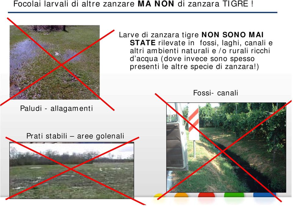 altri ambienti naturali e /o rurali ricchi d acqua (dove invece sono spesso