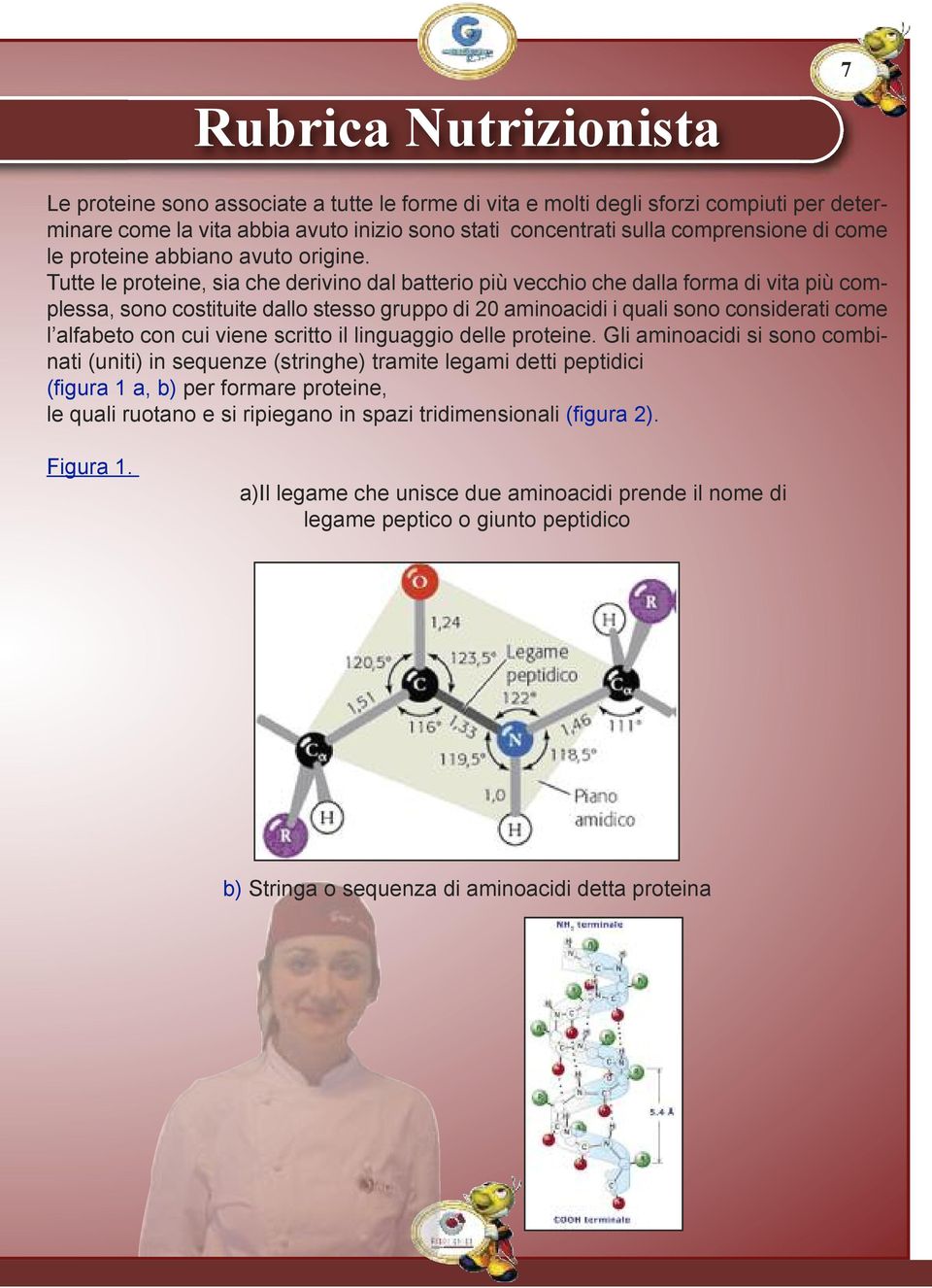 Tutte le proteine, sia che derivino dal batterio più vecchio che dalla forma di vita più complessa, sono costituite dallo stesso gruppo di 20 aminoacidi i quali sono considerati come l alfabeto con