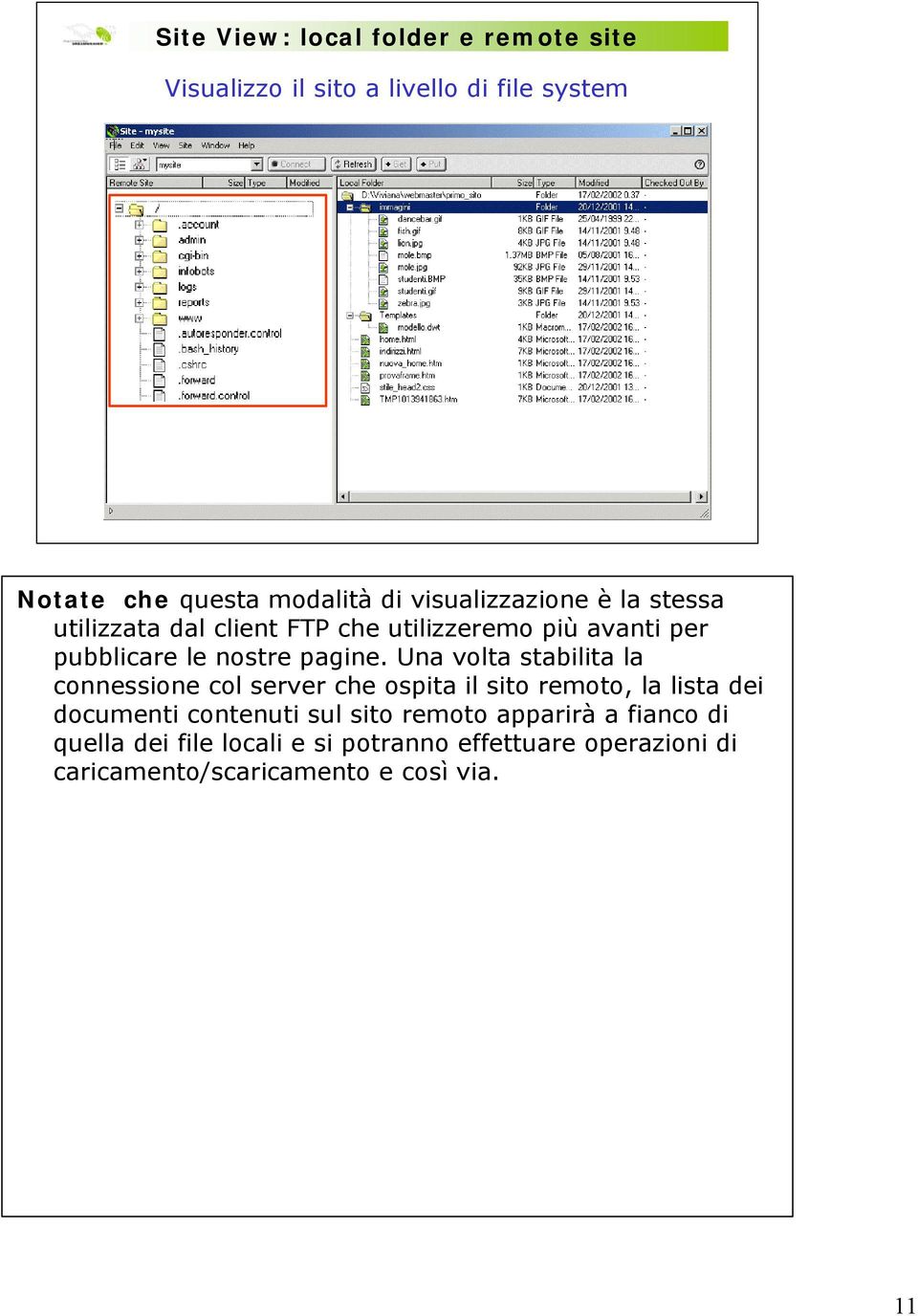 Una volta stabilita la connessione col server che ospita il sito remoto, la lista dei documenti contenuti sul sito