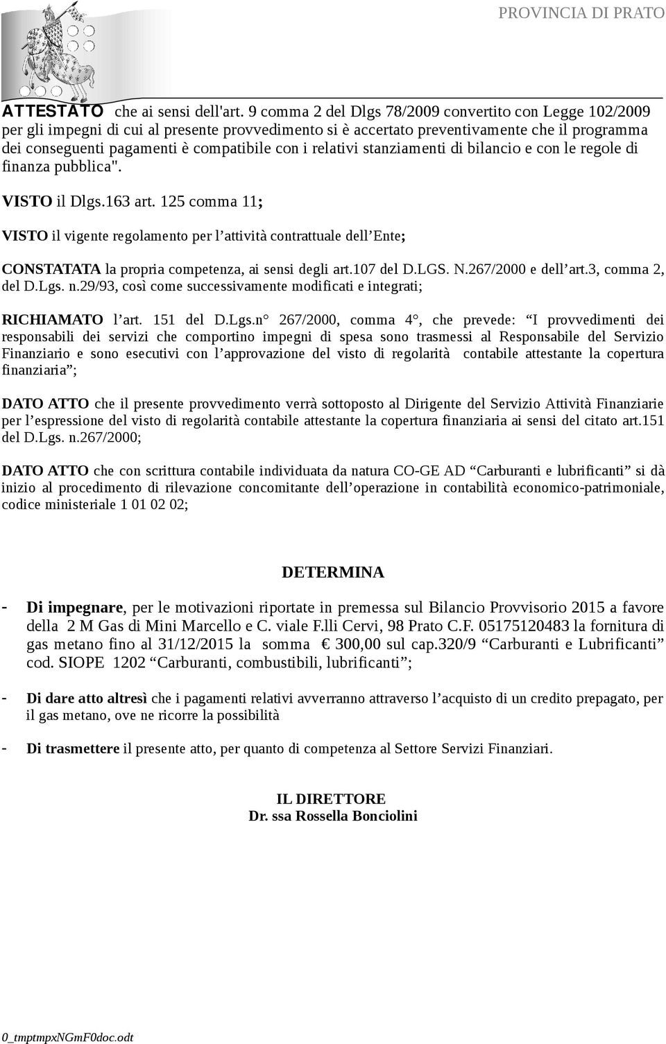 relativi stanziamenti di bilancio e con le regole di finanza pubblica". VISTO il Dlgs.163 art.