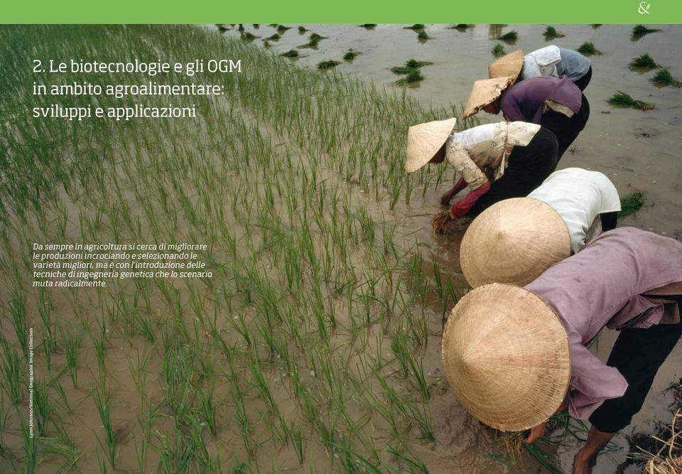 muta radicalmente. Lynn Johnson/National Geographic Image Collection 18 - L agricoltura OGM è sostenibile?