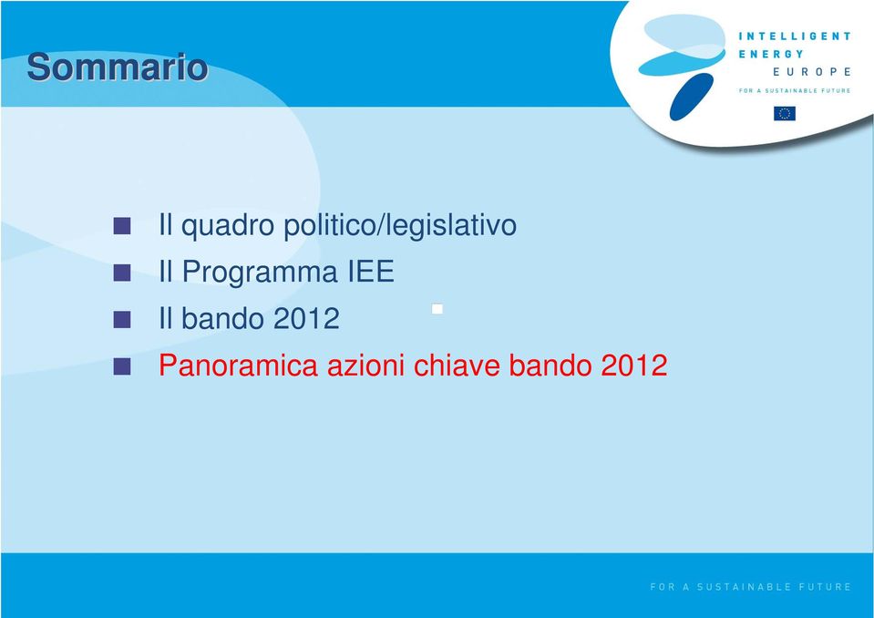 Programma IEE Il bando