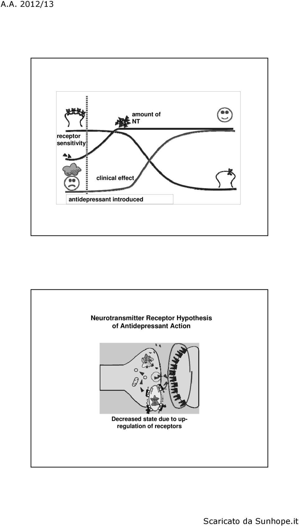 Neurotransmitter Receptor Hypothesis of