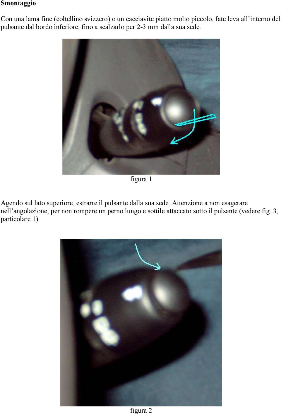 figura 1 Agendo sul lato superiore, estrarre il pulsante dalla sua sede.