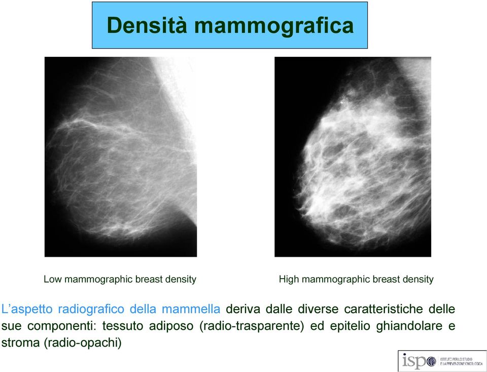 deriva dalle diverse caratteristiche delle sue componenti: tessuto