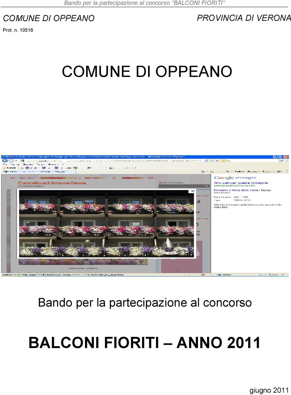 10516 COMUNE DI OPPEANO Bando per la