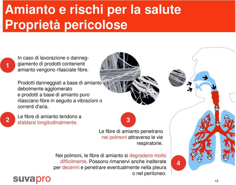 Le fibre di amianto tendono a sfaldarsi longitudinalmente. 2 3 Le fibre di amianto penetrano nei polmoni attraverso le vie respiratorie.