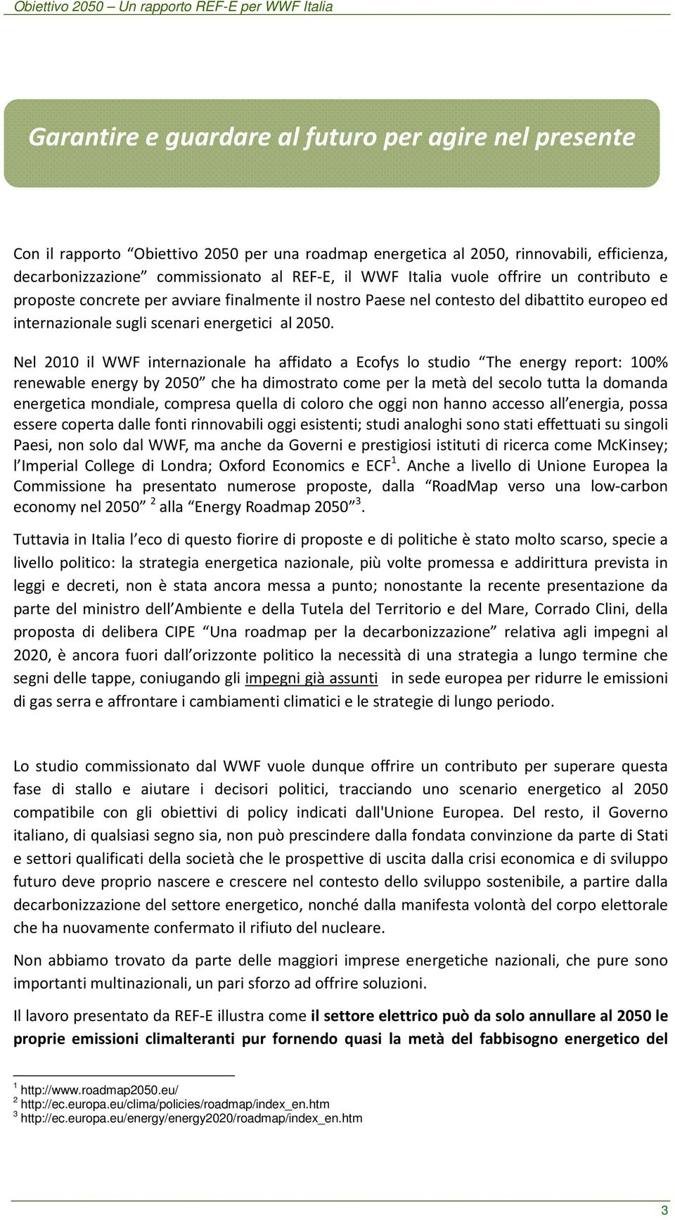 Nel 2010 il WWF internazionale ha affidato a Ecofys lo studio The energy report: 100% renewable energy by 2050 che ha dimostrato come per la metà del secolo tutta la domanda energetica mondiale,