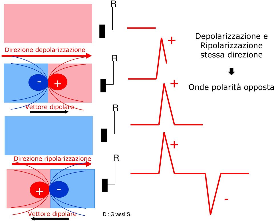 direzione Onde polarità opposta Vettore dipolare R
