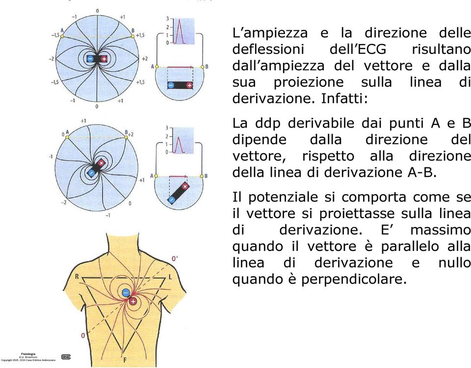 Infatti: La ddp derivabile dai punti A e B dipende dalla direzione del vettore, rispetto alla direzione della linea