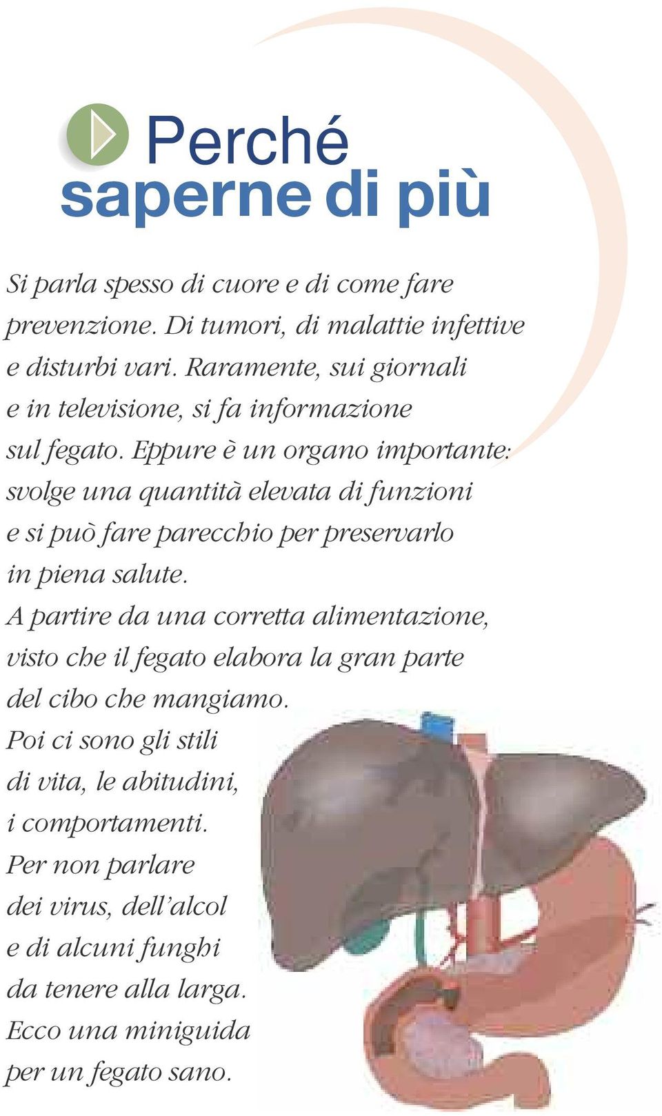 Eppure è un organo importante: svolge una quantità elevata di funzioni e si può fare parecchio per preservarlo in piena salute.