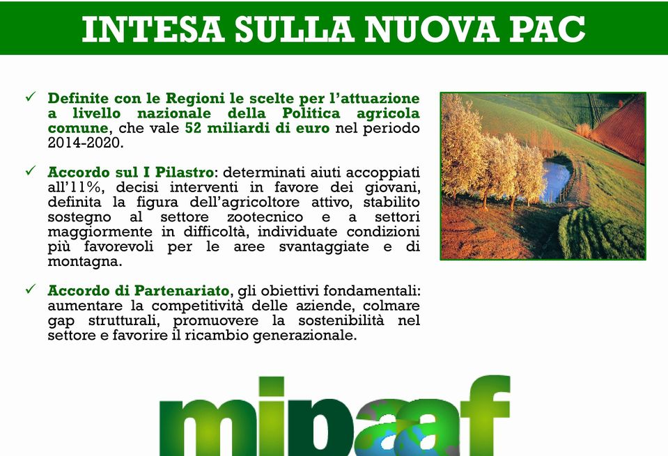 Accordo sul I Pilastro: determinati aiuti accoppiati all 11%, decisi interventi in favore dei giovani, definita la figura dell agricoltore attivo, stabilito sostegno al