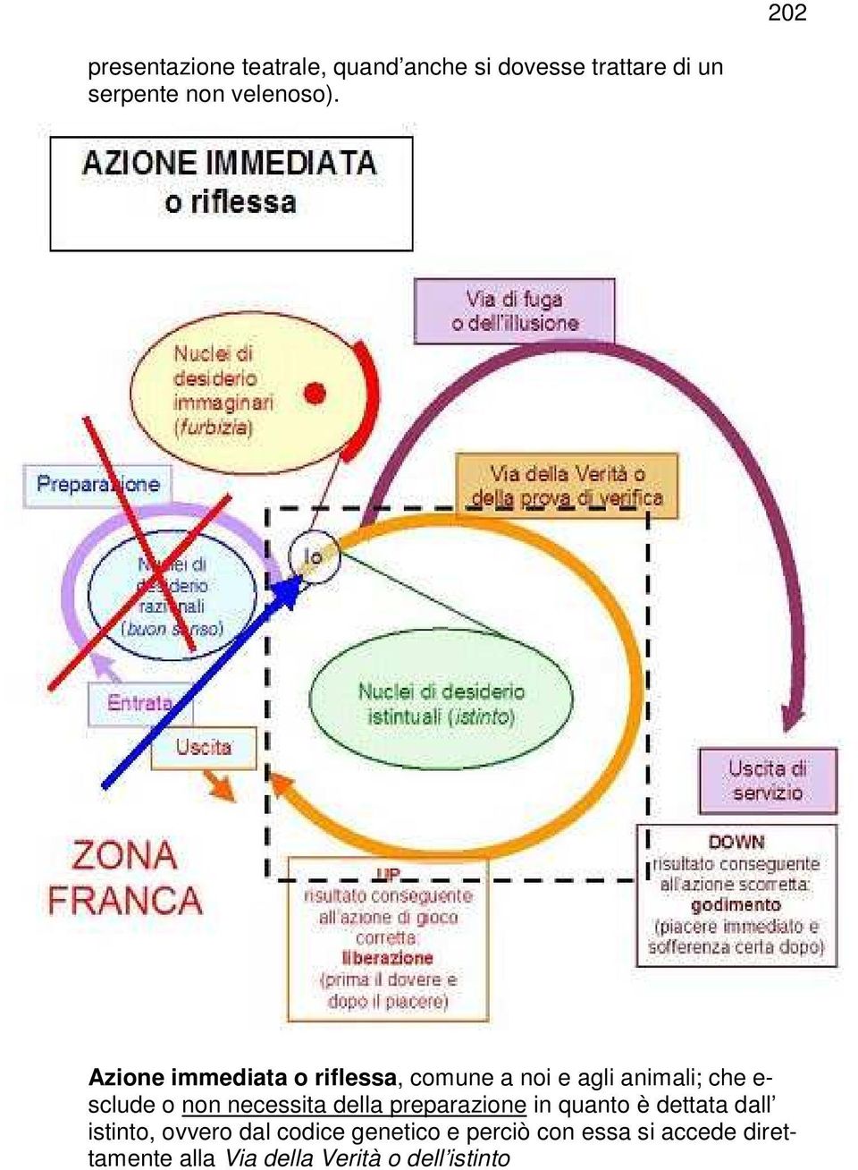 Azione immediata o riflessa, comune a noi e agli animali; che e- sclude o non