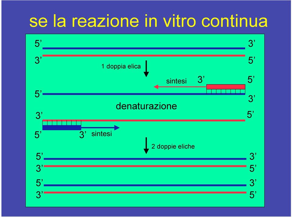 sintesi sintesi