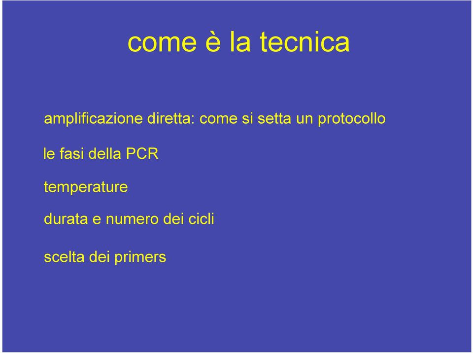 protocollo le fasi della PCR