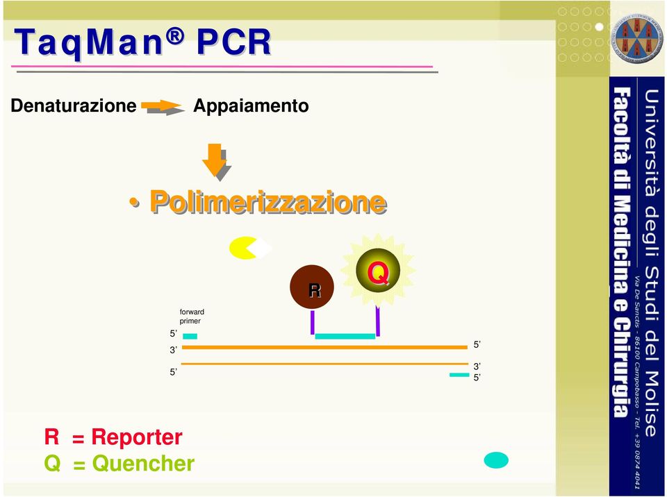 Polimerizzazione 5 3 5