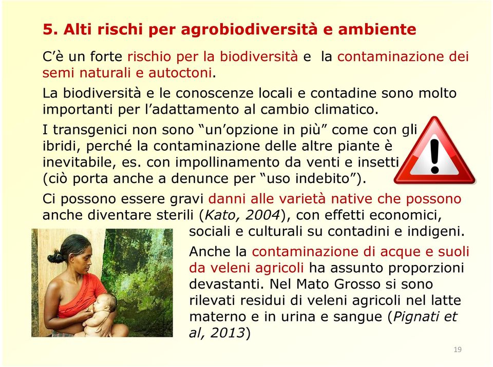 I transgenici non sono un opzione in più come con gli ibridi, perché la contaminazione delle altre piante è inevitabile, es.