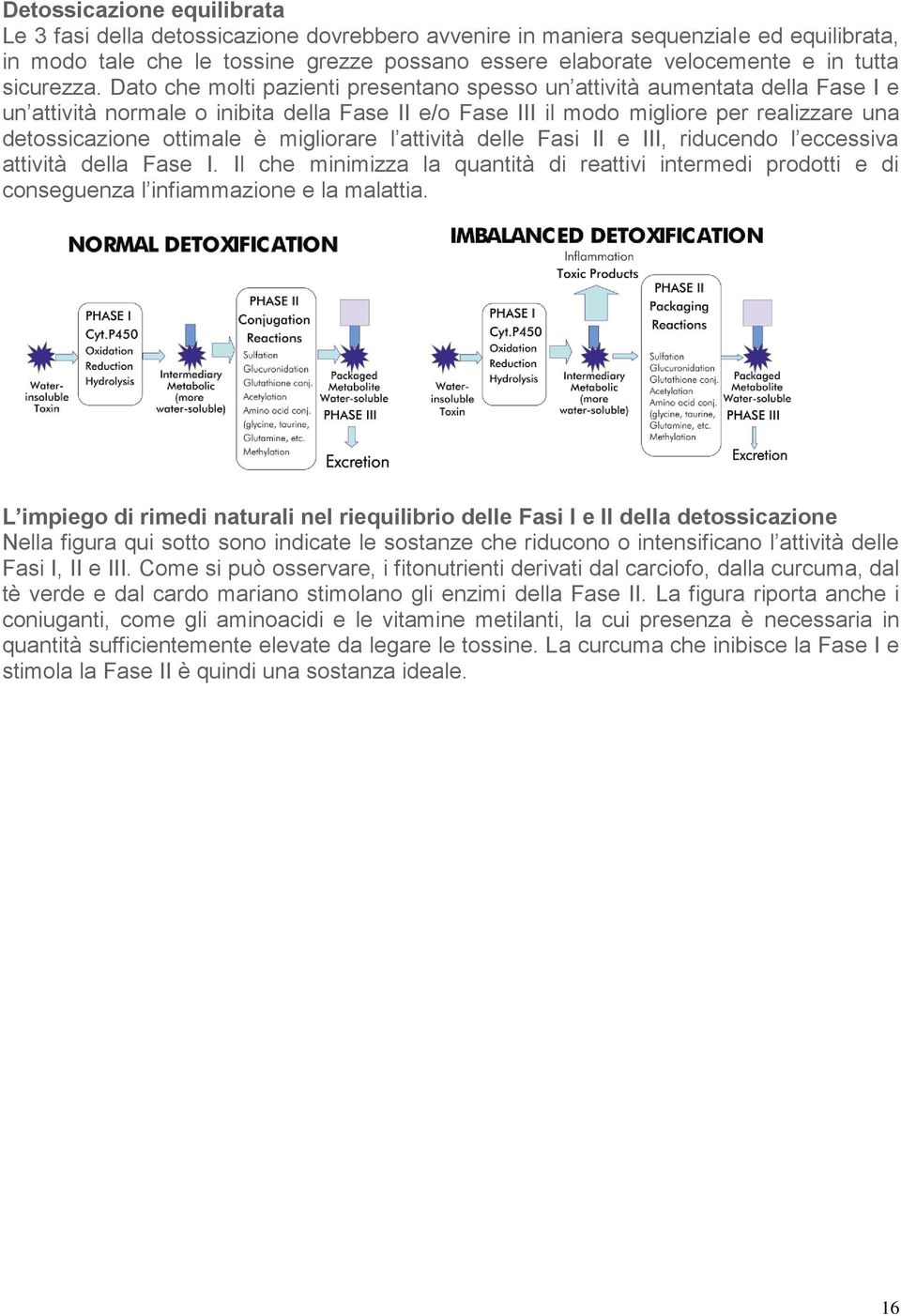 Dato che molti pazienti presentano spesso un attività aumentata della Fase I e un attività normale o inibita della Fase II e/o Fase III il modo migliore per realizzare una detossicazione ottimale è