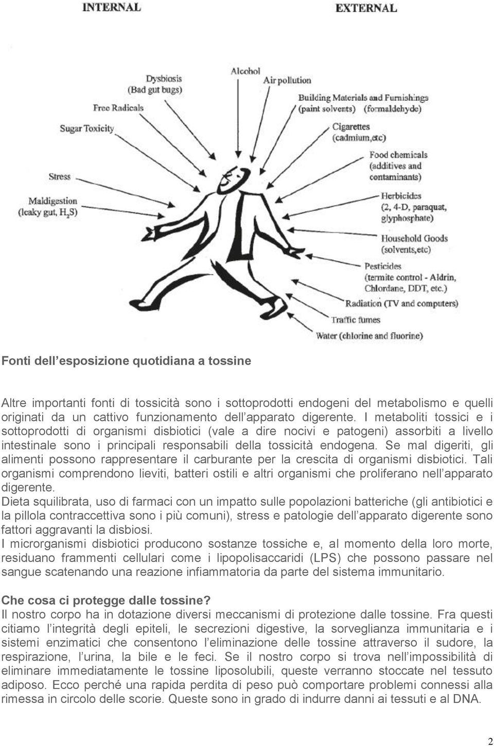 Se mal digeriti, gli alimenti possono rappresentare il carburante per la crescita di organismi disbiotici.